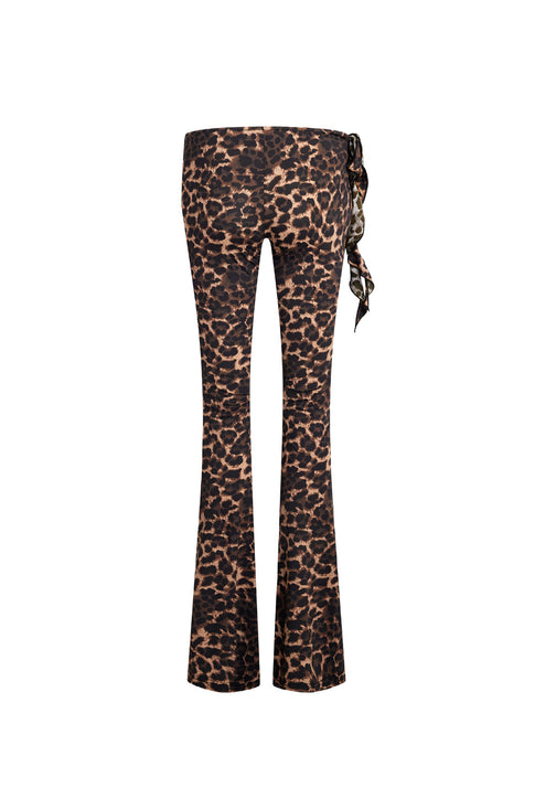 OPULENCE PANT - LEOPARD