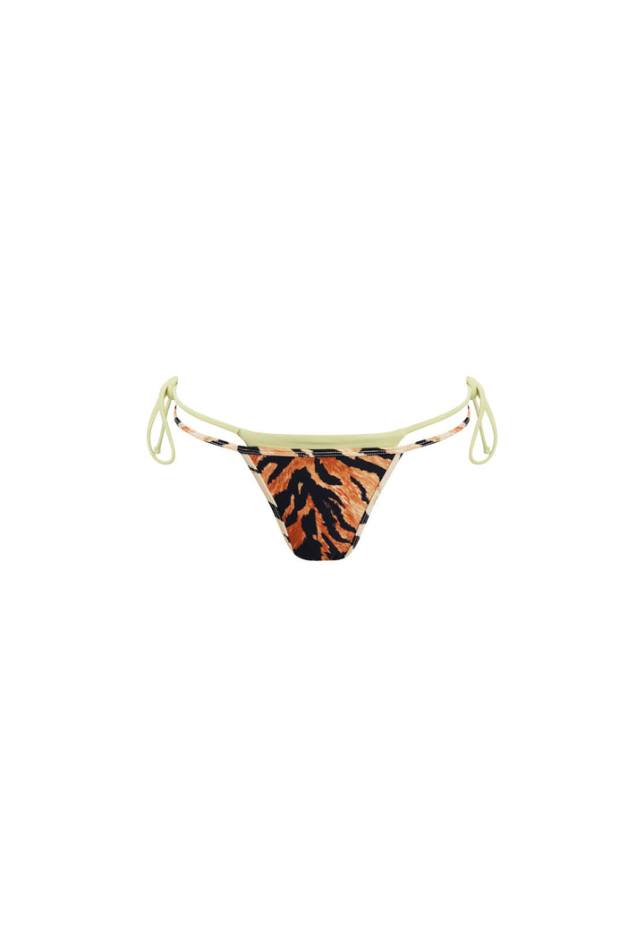 RHODE BOTTOM - TIGER