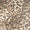 HORSESHOE CROPPED JEAN - LEOPARD